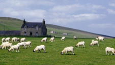 According to the IPCC, humanity currently uses 72% of the Earth's ice-free land surface